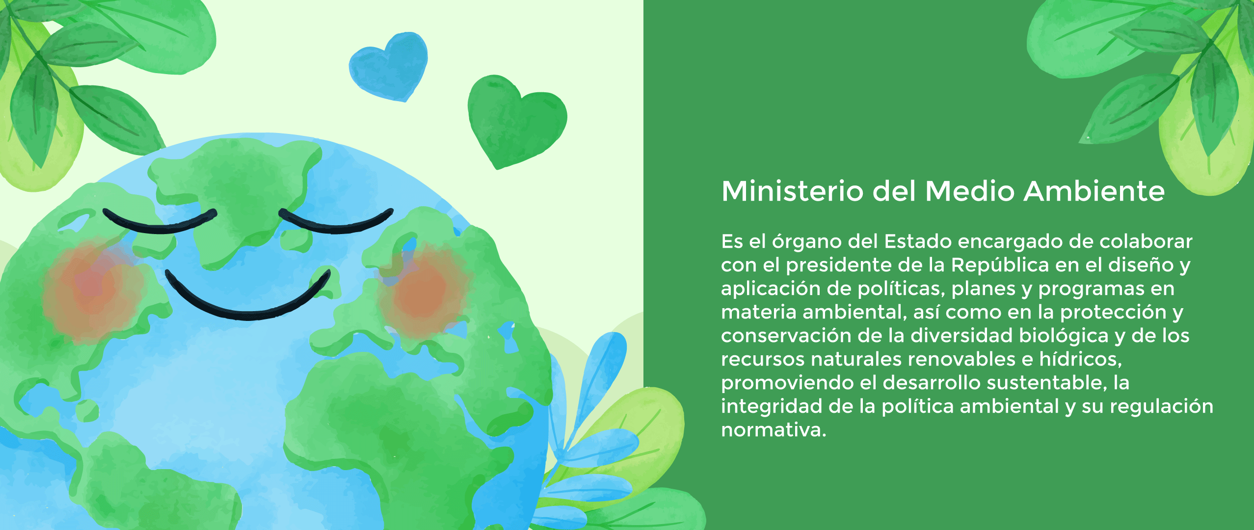 Acción Ambiental 1